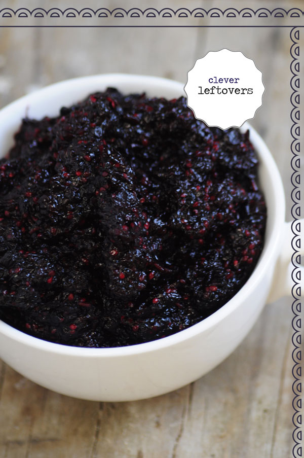 Spent Mulberry Pulp
