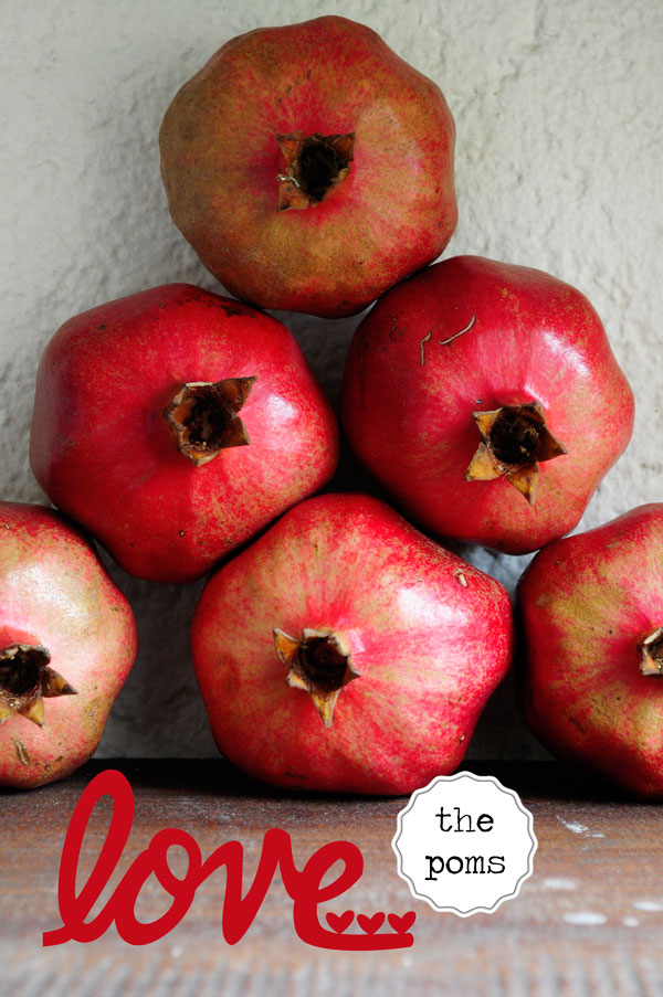 Pomegranate Curd & Molasses