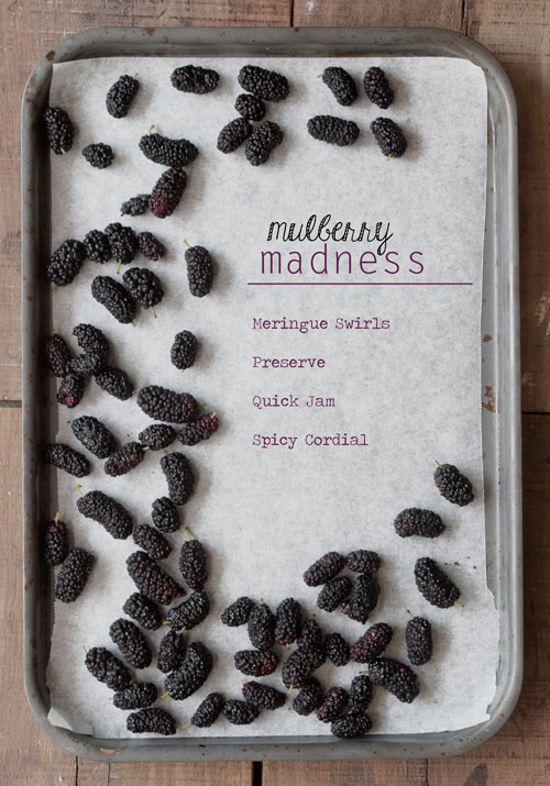 Edible Gifts using Mulberries